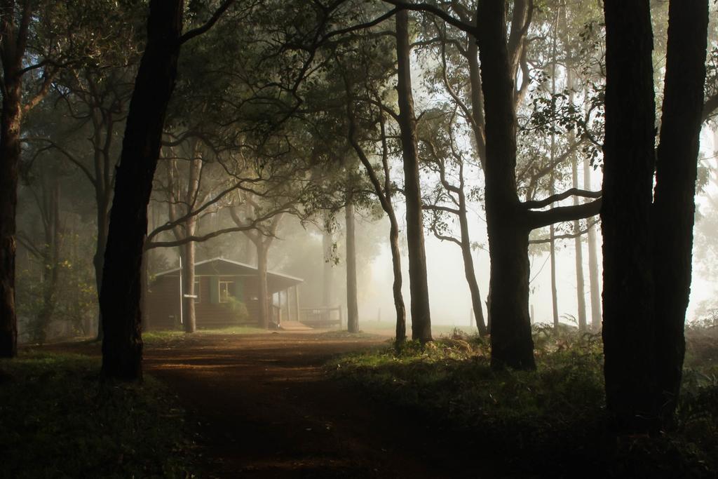 Balingup Heights Hilltop Forest Cottages Esterno foto