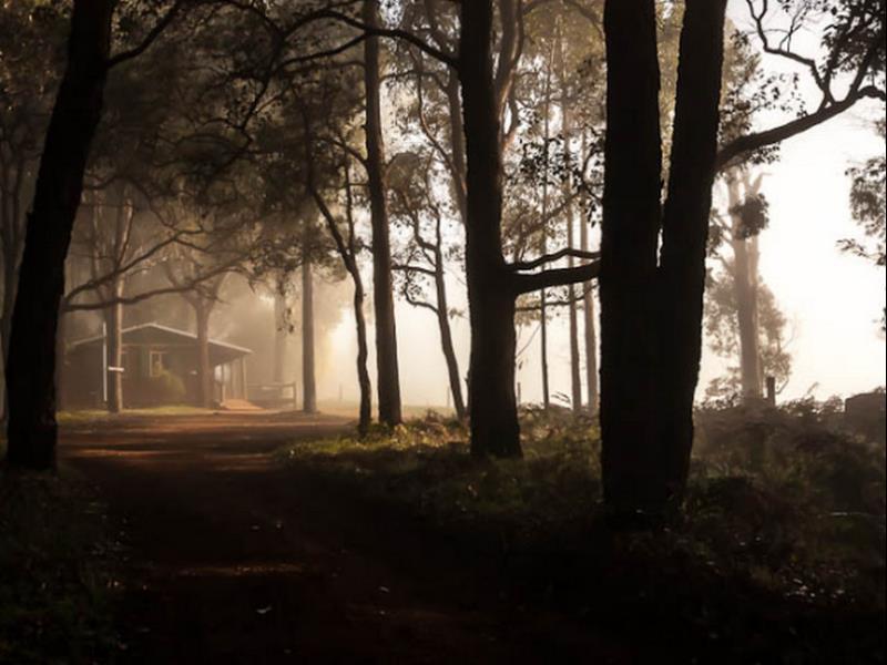 Balingup Heights Hilltop Forest Cottages Esterno foto