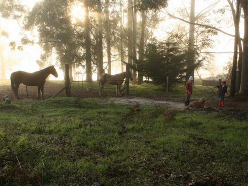 Balingup Heights Hilltop Forest Cottages Esterno foto