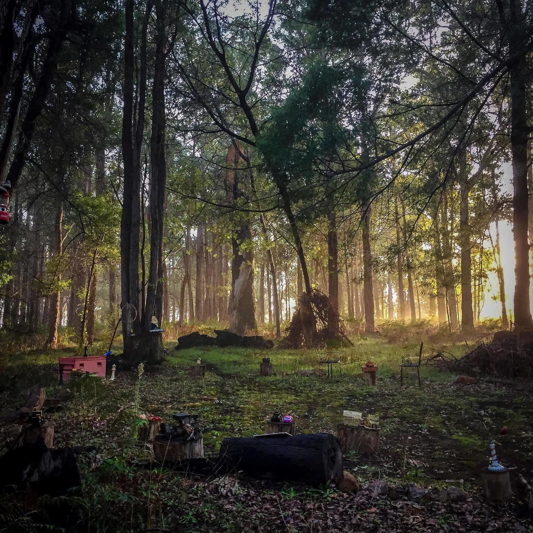 Balingup Heights Hilltop Forest Cottages Esterno foto