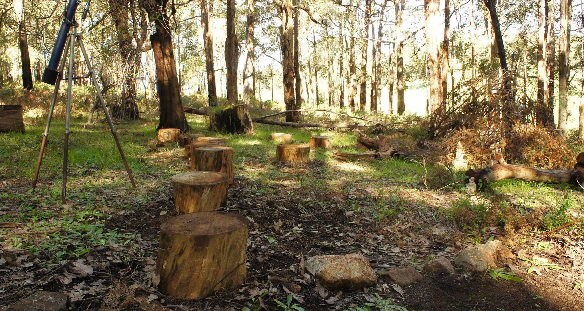 Balingup Heights Hilltop Forest Cottages Esterno foto